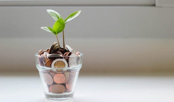 Flower in a jar of money